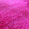 NFL - Arizona Cardinals 4'x6' Rug
